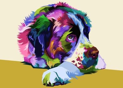 colorful Saint Bernard dog