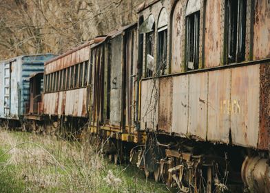 Abandoned Train Track