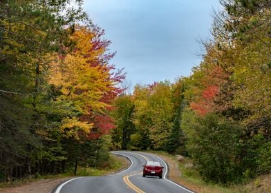 Driving Through Autumn