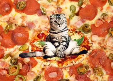 Cat and Pizza