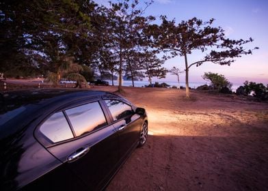 Car Road Fog Camping Tree 