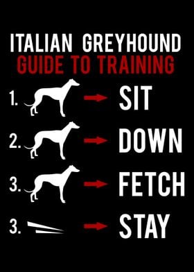 Italian Greyhound Guide to