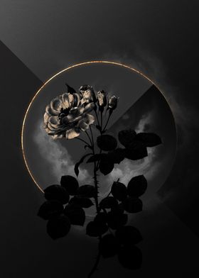 Shade Flora Black And Gold-preview-2