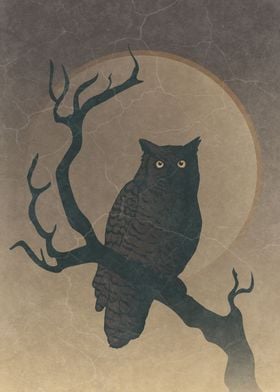 Dark Owl Night