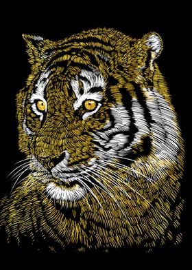 Tiger Gold