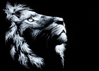 Lion in night