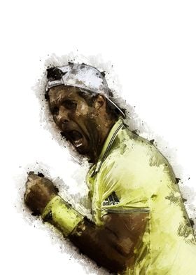 Fernando Verdasco