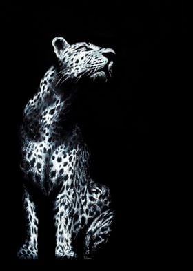 Leopard in light