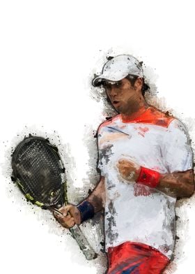 Fernando Verdasco