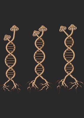 Pick Mushrooms DNA Shroom 