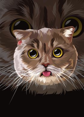 CAT ILLUSTRATION