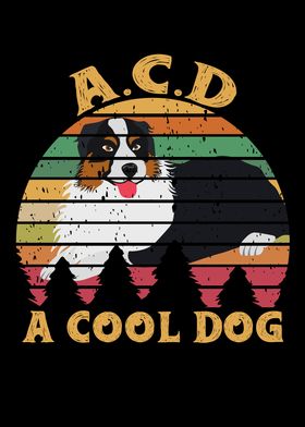 A Cool Dog ACD Australian