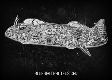 BluebirdProteus CN7