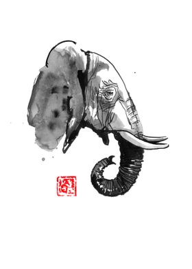 elephant profile