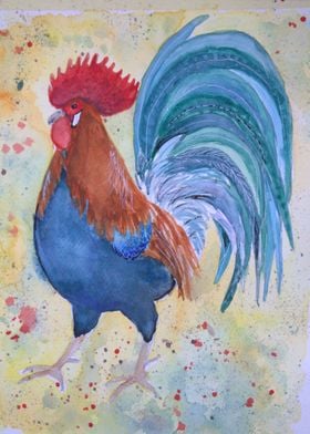 Rooster  aquarelle
