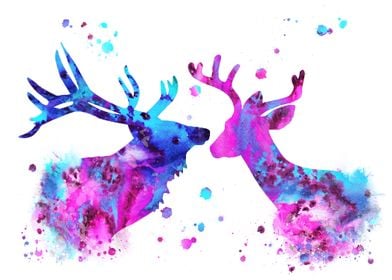 Deer love 