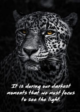 Leopard quote artwork