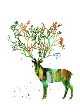 Stag with tree horns 