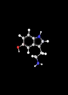 Serotonin