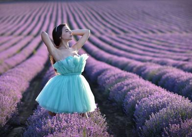 In the Lavender Fields 