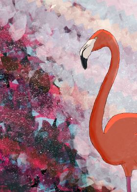 Inside a Flamingo Dream