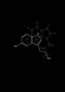 Serotonin