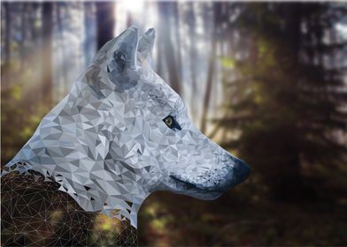 Polygon Wolf