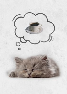 Coffee Dreams Kitten