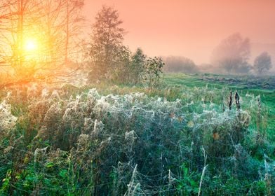 Autumn Background Beautifu