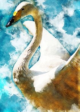 Swan bird art