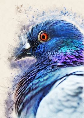 Dove pigeon bird art