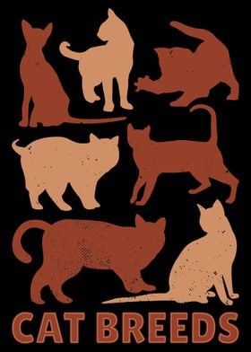 cat breeds 