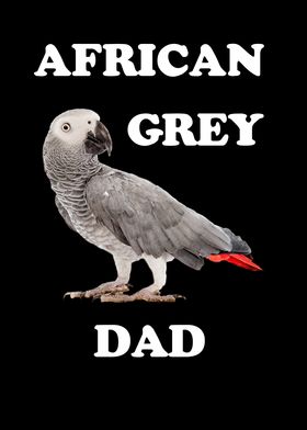 African Gray Parrot