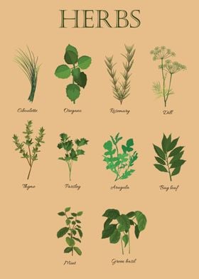 Herbs