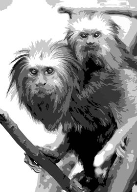 golden lion tamarin v13