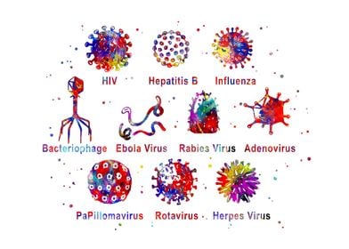 Different kinds of viruses