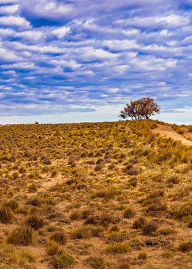 Patagonia Landscape Scene