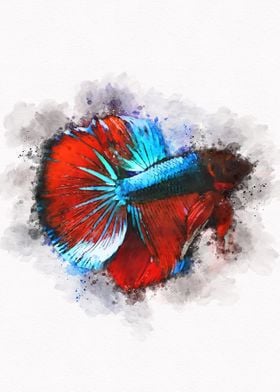 Betta Fish Artwork