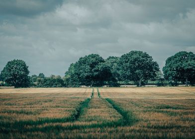 Farming lines 