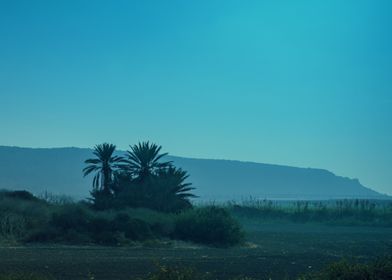 Agriculture Arable Arid Ba