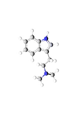 DMT