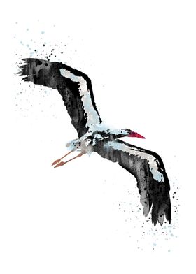 Stork 