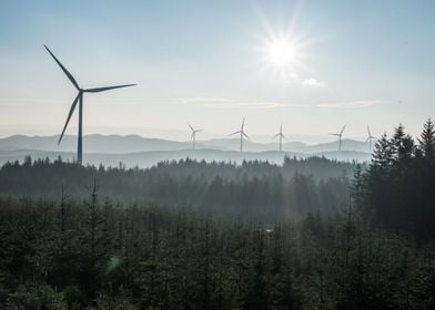 Wind Mills in the Forest