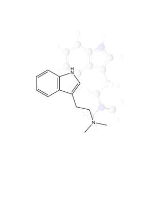 DMT