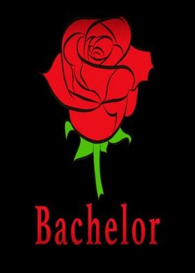 Beautiful bachelor rose