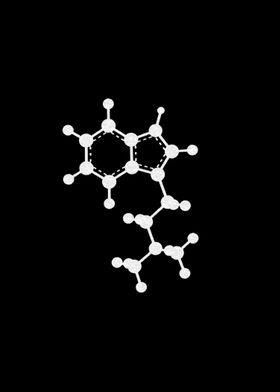 DMT