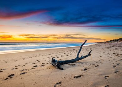 Driftwood Beach