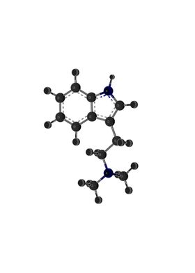 DMT