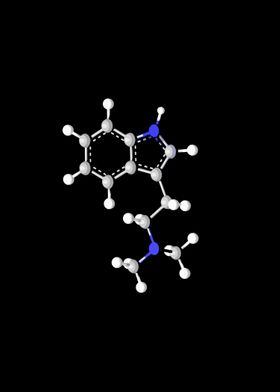 DMT