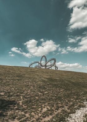 Tiger and Turtle